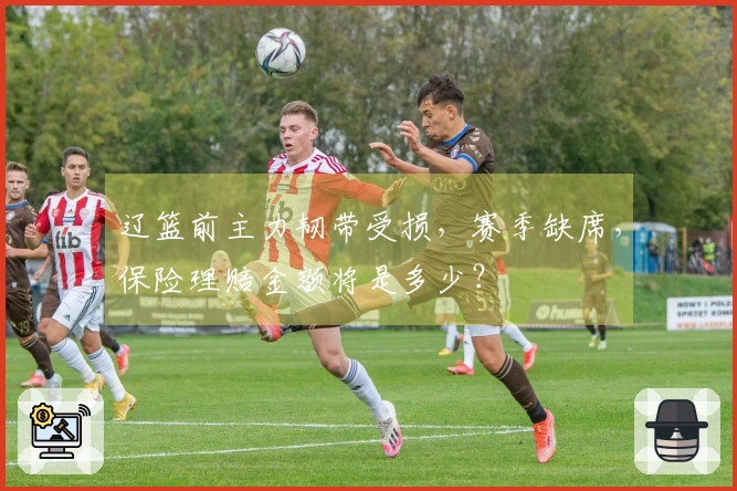 辽篮前主力韧带受损，赛季缺席，保险理赔金额将是多少？
