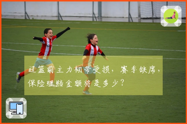 辽篮前主力韧带受损，赛季缺席，保险理赔金额将是多少？